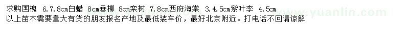 求購國槐、白蠟、垂柳等