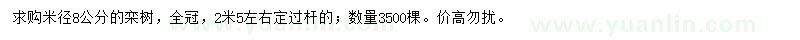 求購米徑8公分欒樹