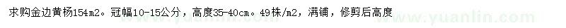 求購(gòu)冠幅10-15公分金邊黃楊