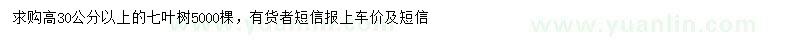 求購高30公分以上七葉樹