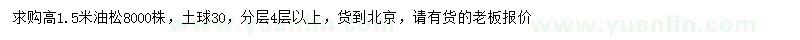 求購高1.5米油松