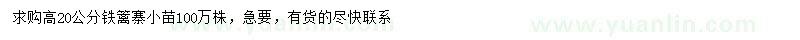求購高20公分鐵籬寨小苗