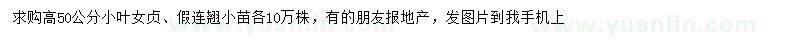 求購(gòu)高50公分小葉女貞、假連翹小苗