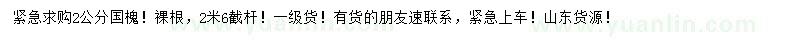 求購2公分國槐