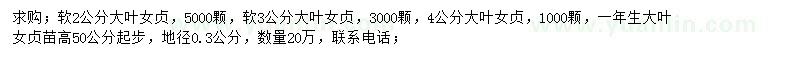 求購2-4公分大葉女貞