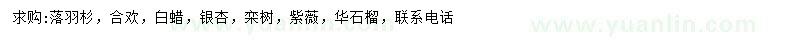 求購落羽杉、合歡、白蠟等