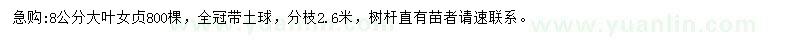 求購8公分大葉女貞