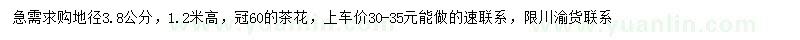 求購地徑3.8公分茶花