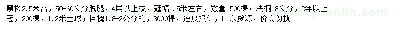 求購黑松、法桐、國槐