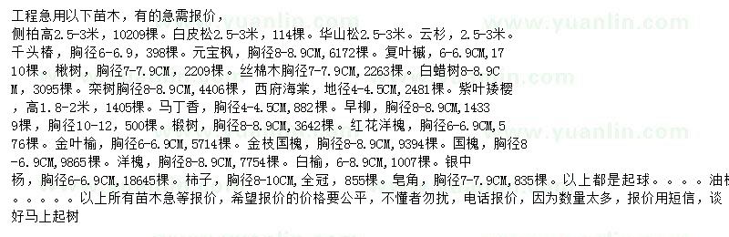 求購側(cè)柏、白皮松、華山松等