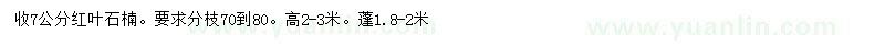 求購7公分紅葉石楠