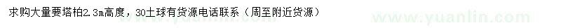 求購高2.3米塔柏