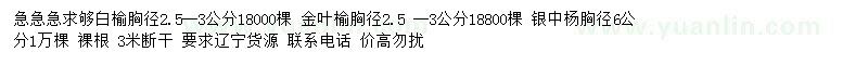求購白榆、金葉榆、銀中楊