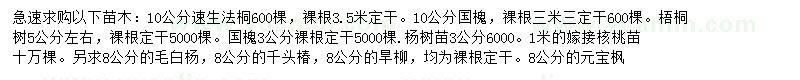 求購速生法桐、國槐、梧桐樹等