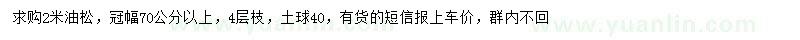 求購2米油松