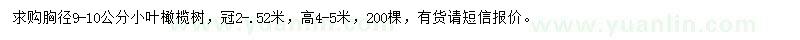 求購9-10公分小葉橄欖樹