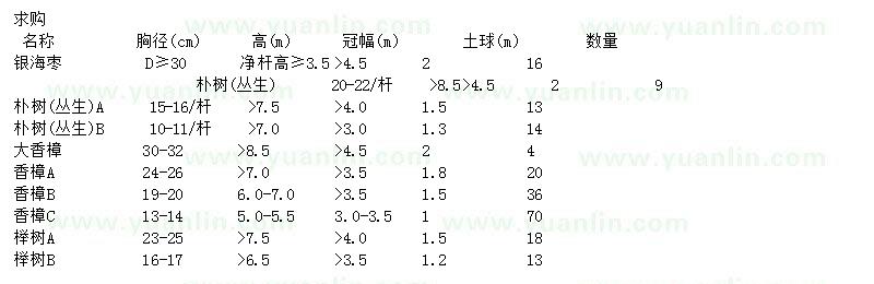 求購銀海棗、樸樹、香樟等