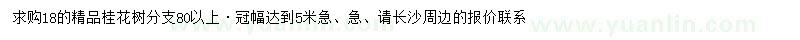 求購18公分精品桂花樹