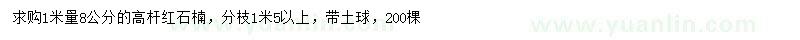 求購(gòu)1米量8公分高桿紅石楠