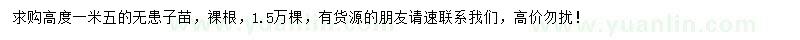 求購高1.5米無患子