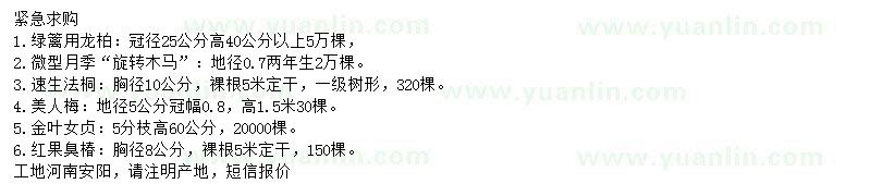 求購龍柏、月季、速生法桐等