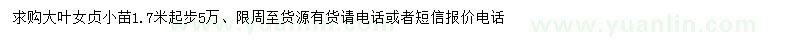 求購大葉女貞小苗