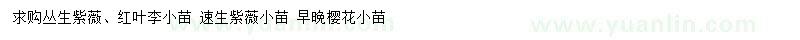 求購叢生紫薇、紅葉李小苗、速生紫薇小苗等