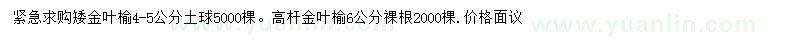 求購(gòu)6公分金葉榆