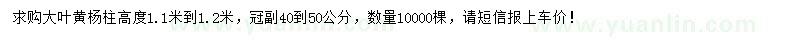 求購1.1-1.2米大葉黃楊柱