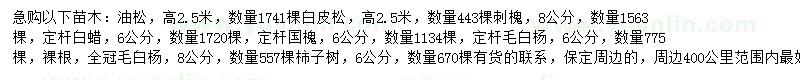 求購油松、白皮松、刺槐等