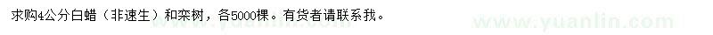 求購4公分白蠟、欒樹