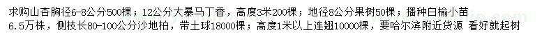 求購(gòu)山杏、大暴馬丁香、白榆小苗等