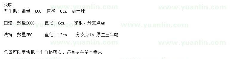 求購(gòu)五角楓、白蠟、法桐等