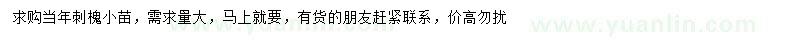 求購刺槐小苗