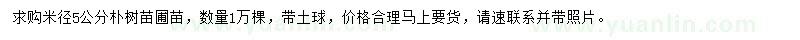求購米徑5公分樸樹