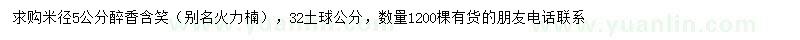 求購米徑5公分醉香含笑