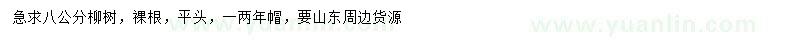求購8公分柳樹