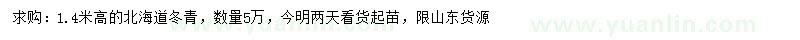 求購高1.4米北海道冬青