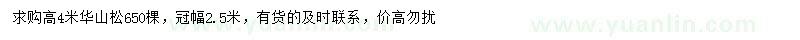 求購(gòu)高4米華山松