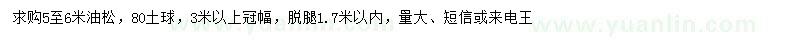 求購(gòu)5-6米油松