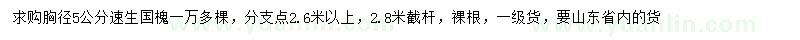 求購胸徑5公分速生國槐