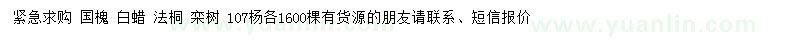求購國槐、白蠟、法桐等