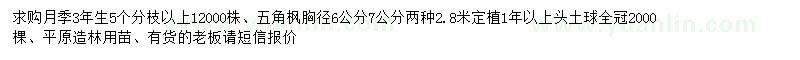 求購月季、胸徑6、7公分五角楓