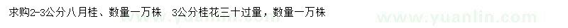 求購2-3公分八月桂