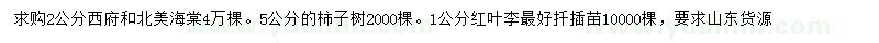 求購(gòu)西府海棠、北美海棠、柿子樹等