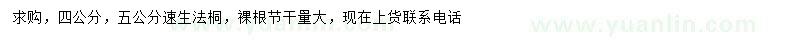 求購(gòu)4、5公分速生法桐