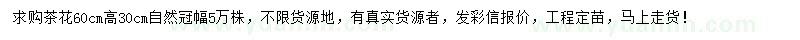 求購60公分茶花