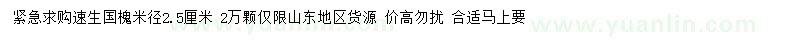 求購米徑2.5公分速生國槐