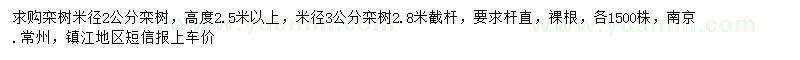 求購米徑2、3公分欒樹