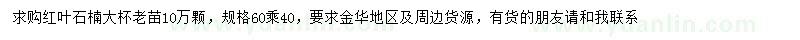 求購(gòu)60*40公分紅葉石楠大杯老苗